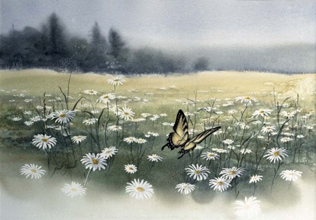 Daisy Field by Joel Ogard art print