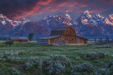 Mormon Row Barn Sunrise by Galloimages Online art print
