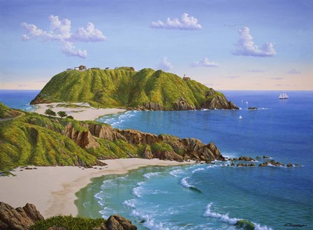 Point Sur, CA by Eduardo Camoes art print