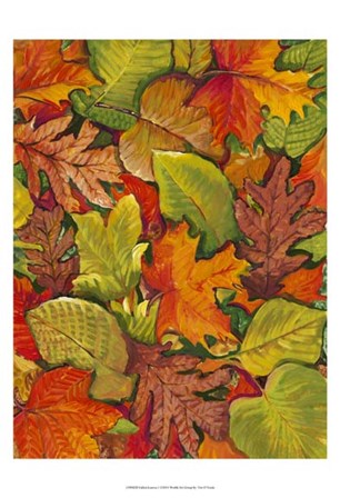 Fallen Leaves I by Timothy O&#39;Toole art print