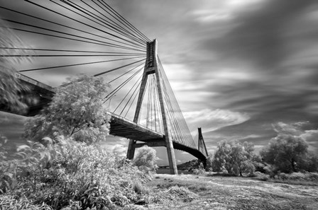 First Link by Michael de Guzman art print