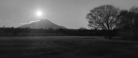 Waiting For The Diamond by Michael de Guzman art print