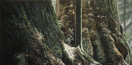 Blacktail In Sitka by Ron Parker art print