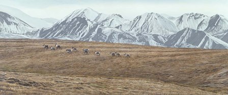 Northern Skyline - Caribou by Ron Parker art print