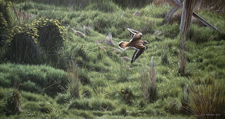 Spring Flight by Ron Parker art print