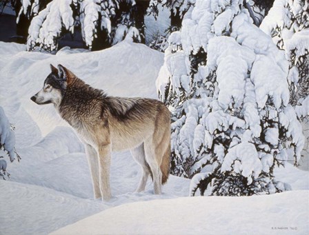 Winter&#39;s Blanket by Ron Parker art print
