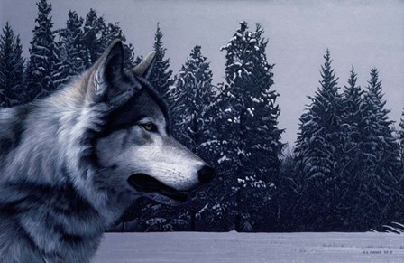 Gray Wolf Portrait by Ron Parker art print
