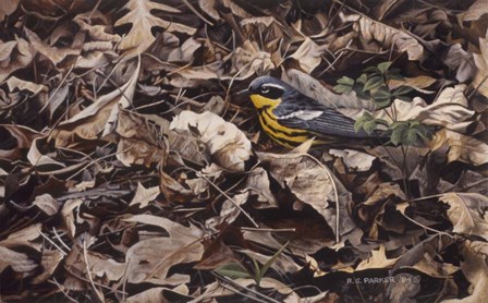 Forest Floor by Ron Parker art print