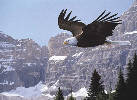 Paradise Valley by Ron Parker art print