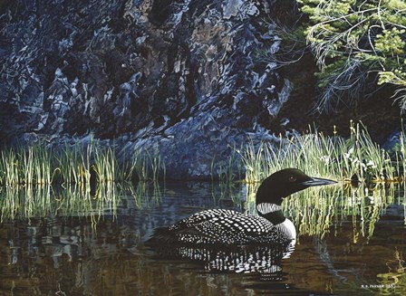 Summer - Loon by Ron Parker art print