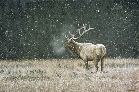 Early Snowfall by Ron Parker art print