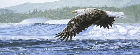 Wind On The Waves by Ron Parker art print