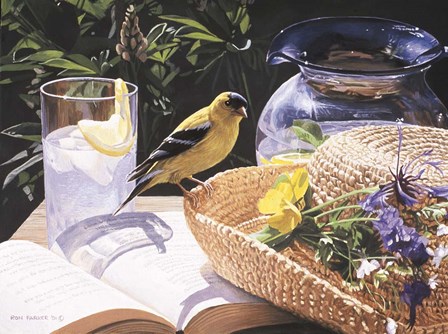 Goldfinch On Straw Hat by Ron Parker art print