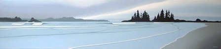 Cox Bay Islands by Ron Parker art print
