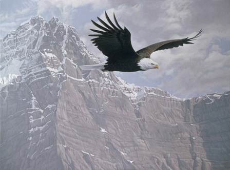 Mountain Flight by Ron Parker art print