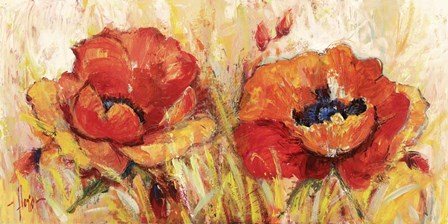 Papaveri by Luigi Florio art print