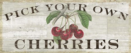 Farm Fresh Cherries by Sue Schlabach art print