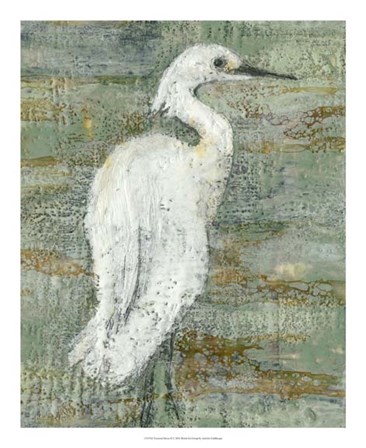 Textured Heron II by Jennifer Goldberger art print