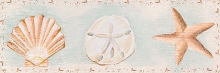 Sandy Shells I by Tiffany Hakimipour art print