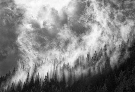 Rising Mist 3 by Thomas Haney art print