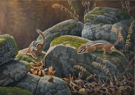 Eye On The Prize by Wilhelm J. Goebel art print