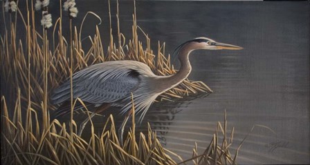 Stalking The Edge - Heron by Wilhelm J. Goebel art print