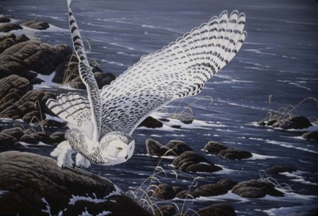 Winter Shore - Snowy Owl by Wilhelm J. Goebel art print
