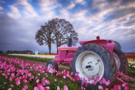 Jane Deere by Darren White Photography art print