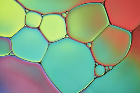 Stained Glass III by Cora Niele art print