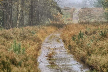 Path by Cora Niele art print