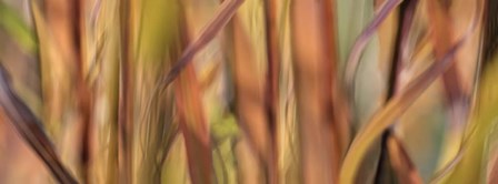 Autumn Grass Scape by Cora Niele art print