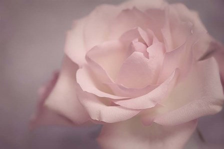 Tenderness by Cora Niele art print