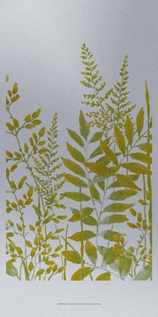 Pattern of Leaves II by Timothy O&#39;Toole art print