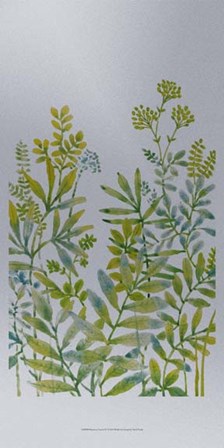 Pattern of Leaves IV by Timothy O&#39;Toole art print
