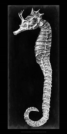 Seahorse Blueprint I by Vision Studio art print