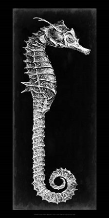 Seahorse Blueprint II by Vision Studio art print