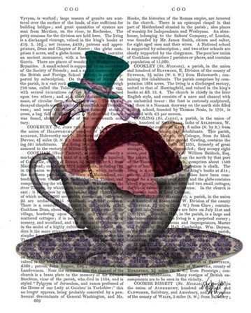 Dodo in Teacup by Fab Funky art print