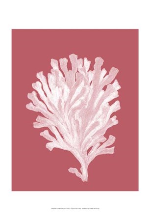 Corals White on Coral d by Fab Funky art print