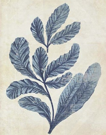 Indigo Blue Seaweed 2 a by Fab Funky art print