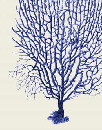 Blue Corals 2 b by Fab Funky art print