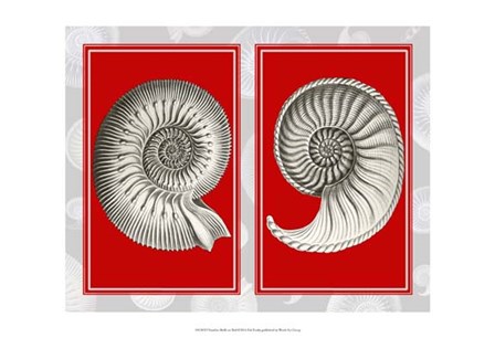 Nautilus Shells On Red by Fab Funky art print