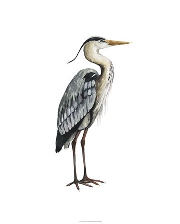 Sea Bird V by Grace Popp art print
