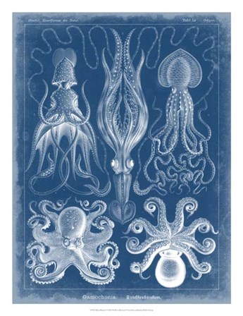 Marine Blueprint V by Vision Studio art print