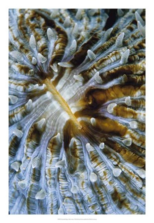 Interlude - Papua New Guinea by Beverly Factor art print
