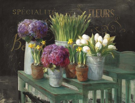 Les Fleurs Printemps on Black by Danhui Nai art print