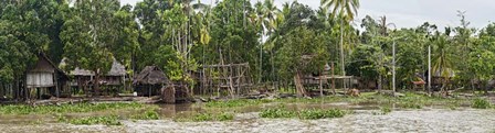 Houses on the Bank of the Sepik River, Papua New Guinea by Panoramic Images art print
