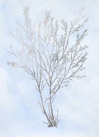 Silver Foil Algae I on Blue - Metallic Foil by Jennifer Goldberger art print