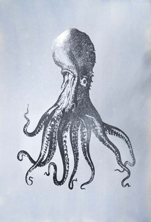 Silver Foil Octopus I on Blue Wash - Metallic Foil by Vision Studio art print