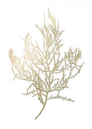 Gold Foil Algae III - Metallic Foil by Jennifer Goldberger art print