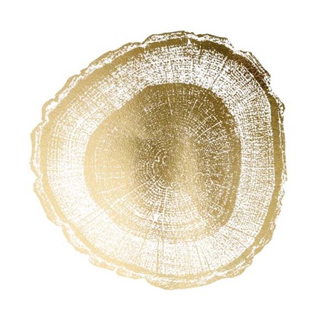Gold Foil Tree Ring I - Metallic Foil by Vision Studio art print